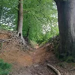 Cozy In The Middle Of The Achterhoek Almen