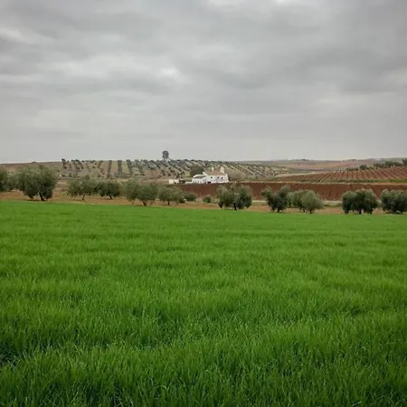 Cozy In The Middle Of The Achterhoek * Almen