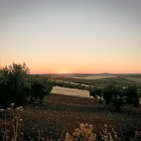 Cozy In The Middle Of The Achterhoek Dom wakacyjny *