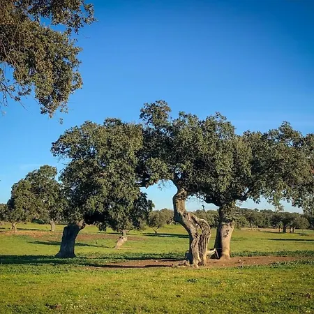 Dom wakacyjny Cozy In The Middle Of The Achterhoek