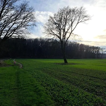 Cozy In The Middle Of The Achterhoek 펜션 *
