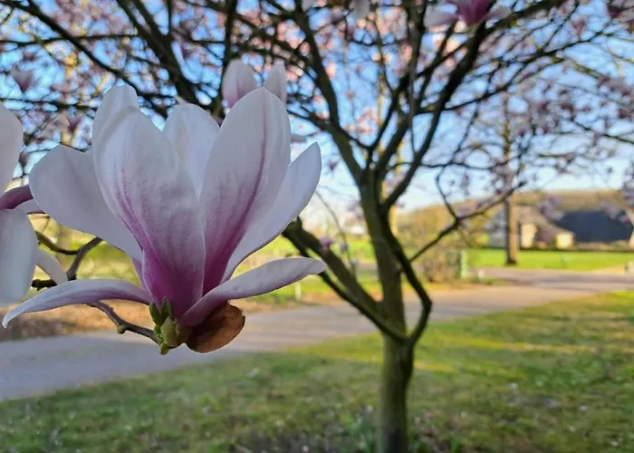 Casa de Férias Cozy In The Middle Of The Achterhoek