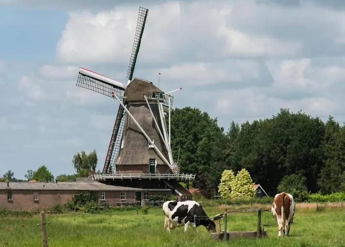 Cozy In The Middle Of The Achterhoek Almen
