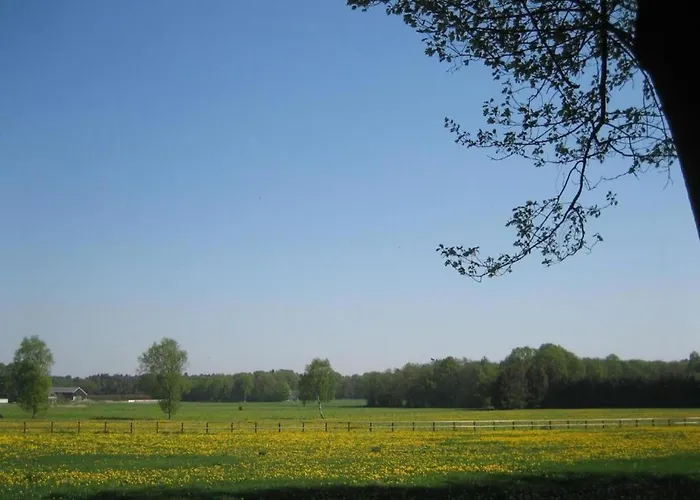 Cozy In The Middle Of The Achterhoek Almen