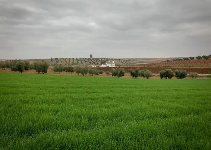 Cozy In The Middle Of The Achterhoek * Almen