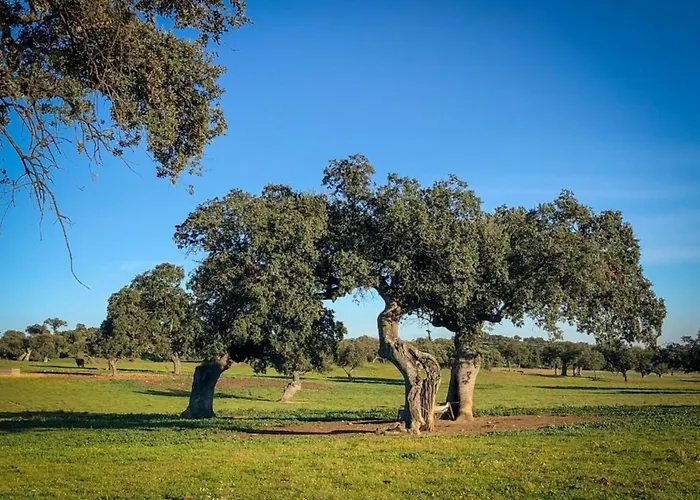 Semesterbostad Cozy In The Middle Of The Achterhoek