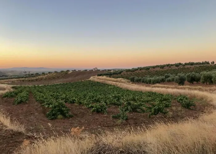 Cozy In The Middle Of The Achterhoek Semesterbostad Almen