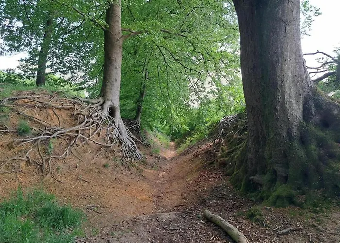 Cozy In The Middle Of The Achterhoek Almen