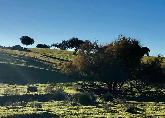 Cozy In The Middle Of The Achterhoek Semesterbostad Almen