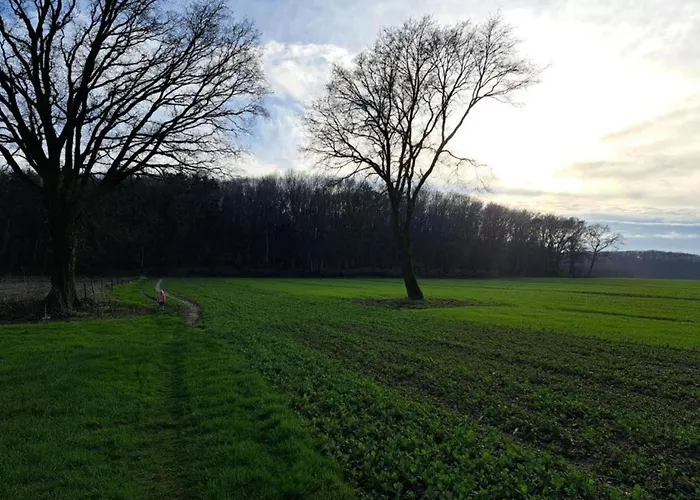 Cozy In The Middle Of The Achterhoek Semesterbostad *